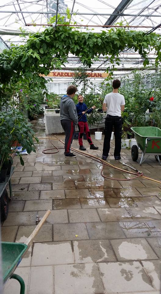 Läraren i växthusodling pratar med två elever i växthuset.