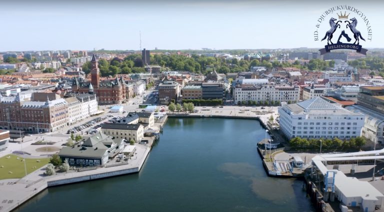 Vatten och byggnader fotograferade ovanifrån. Vacker vy över Helsingborg med vår skola i centrum