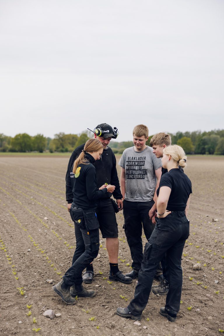 Fyra elever och en gårdsmästare står på ett fält. Gårdsmästaren visar eleverna sockerbetans uppkomst. 