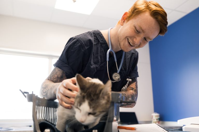 Naturbrukselev med en katt framför sig och ett stetoskop runt halsen, har APL på veterinärklinik. 